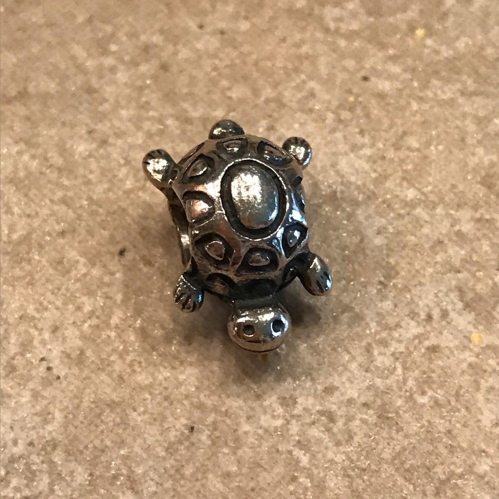 Pandora charm